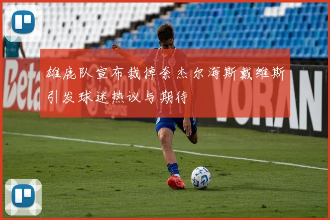 雄鹿队宣布裁掉奈杰尔海斯戴维斯引发球迷热议与期待