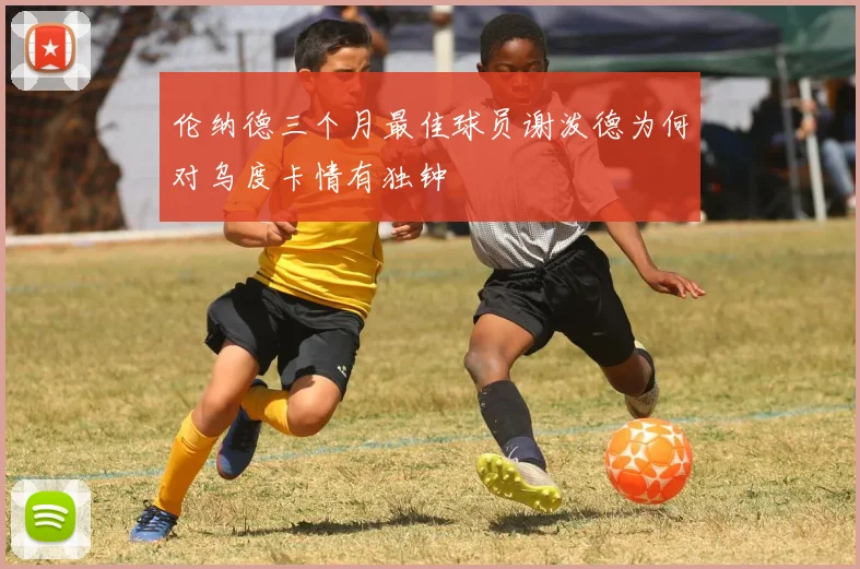 伦纳德三个月最佳球员谢泼德为何对乌度卡情有独钟