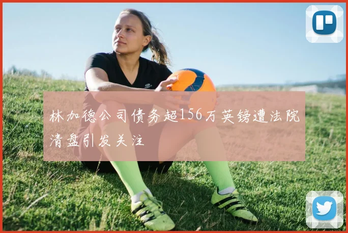林加德公司债务超156万英镑遭法院清盘引发关注