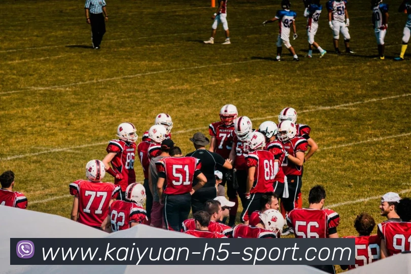 开元体育发展历程